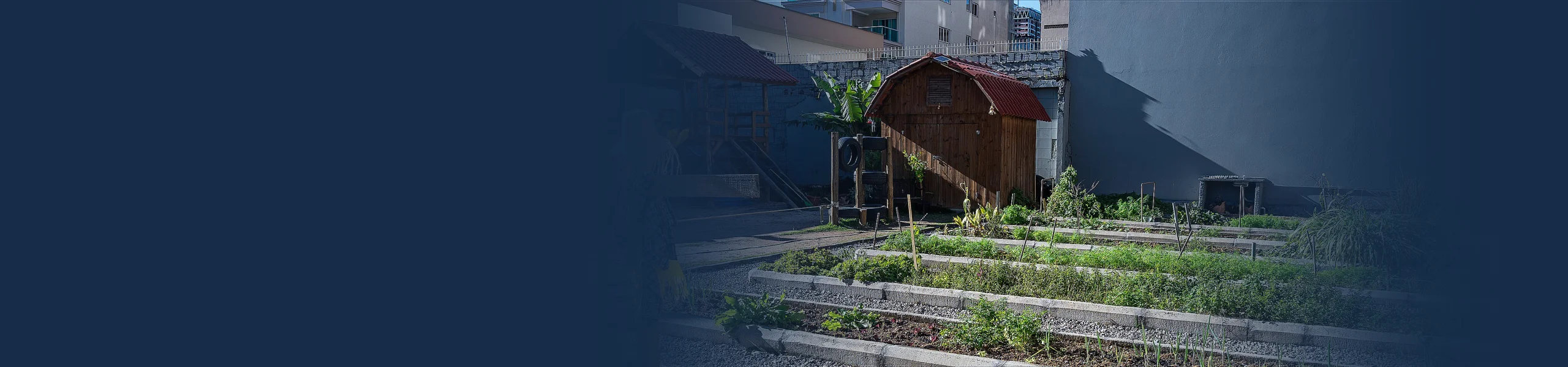 Banner da página Programas e Projetos